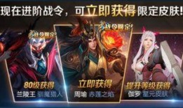 王者近期最新的爆料,神秘英雄登场，技能革新，战局再起！