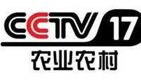 中央电视台11套在线直播观看,跟随中央电视台11套在线直播领略文化盛宴